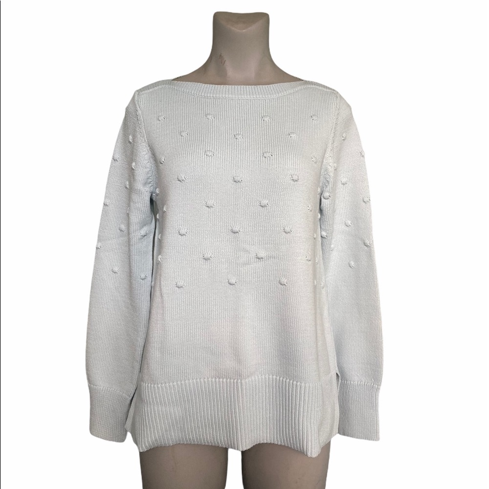 Ann Taylor Sweater
